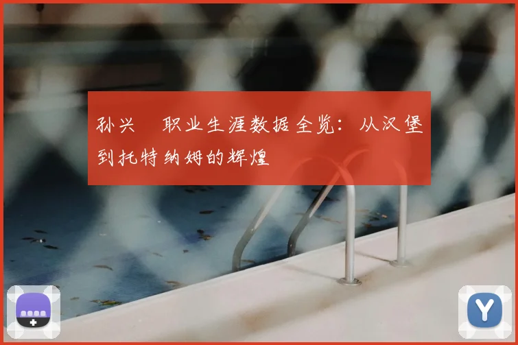 孙兴慜职业生涯数据全览:从汉堡到托特纳姆的辉煌