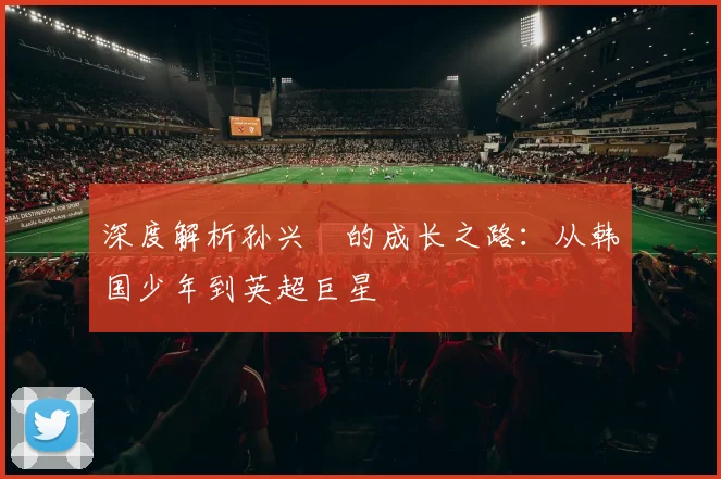 深度解析孙兴慜的成长之路：从韩国少年到英超巨星