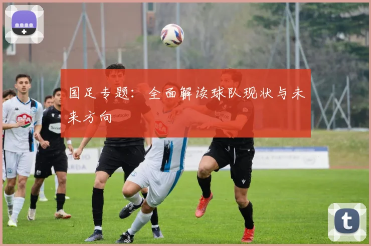 国足专题：全面解读球队现状与未来方向