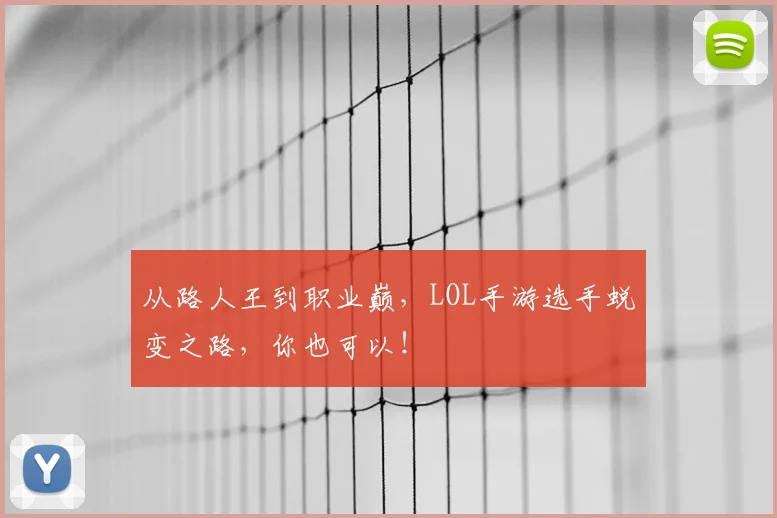 从路人王到职业巅，LOL手游选手蜕变之路，你也可以！